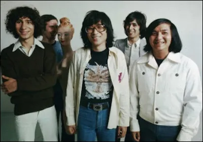 J'ai fait partie d'un groupe de rock progressif nommé ''Tai Phong'', qui suis-je ?