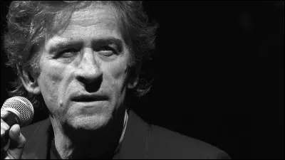 Avec qui Hubert Félix Thiéfaine a-t-il enregistré une chanson ?