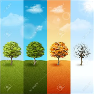 Quelle est ta saison favorite ?