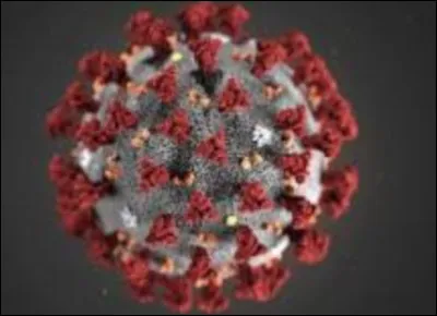 De quelle pandémie est-ce la molécule ?