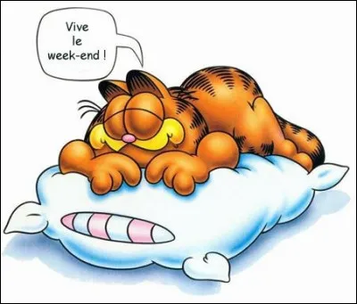 Que fais-tu le week-end ?