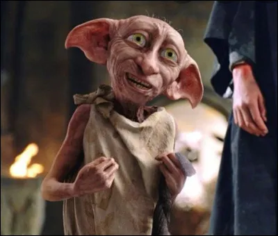 Comment sont les chaussettes que Dobby offre à Harry ?