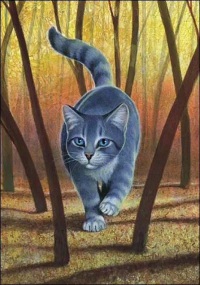 Quel endroit te plaît le plus ?