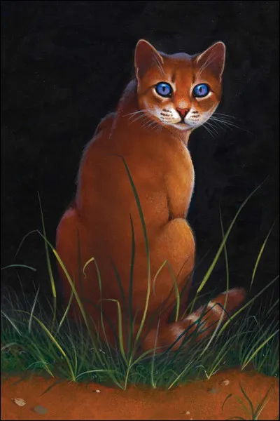 Ton meilleur ami te trahit, que fais-tu ?