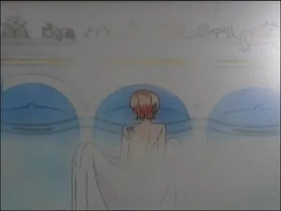 Que veut faire Nami ?