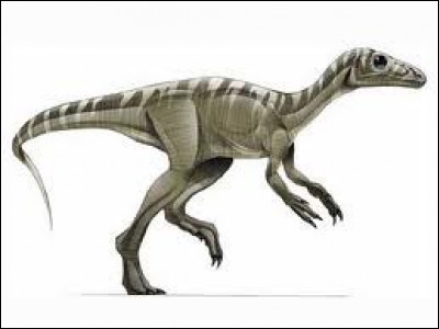 De quel pays vient l'Eoraptor ?