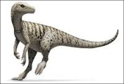 Durant quelle p&eacute;riode a v&eacute;cu celui de genre Herrerasaurus ?