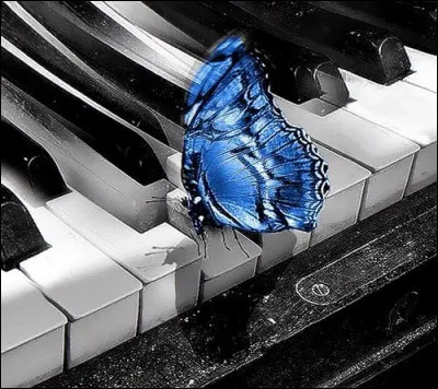 Le piano est un instrument à cordes...