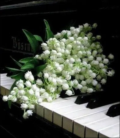 Quel animal ne peut pas donner son nom à un piano ?