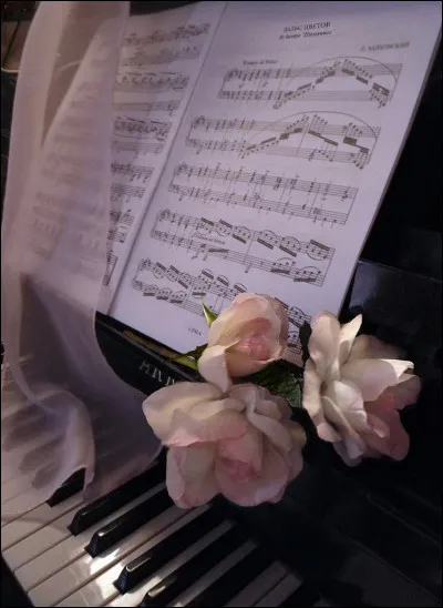 Qui interprétait les paroles "J'vis ma vie en piano noir, toute en strass dans mon miroir" ?