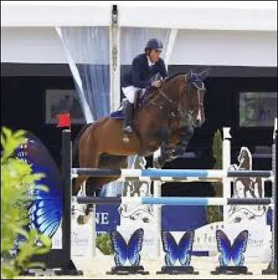 Quelle est la discipline équestre pratiquée sur cette photo ?