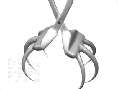 À quoi sert la pince-araignée ?