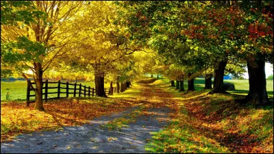 15 hectares sont égaux à...