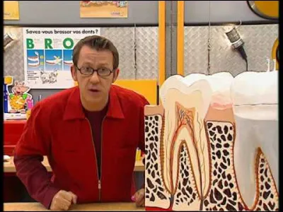 Quel programme en lien avec les dents aimes-tu ?