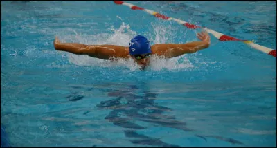 Quel nageur français détenteur du record d'Europe du 200 m papillon est originaire de Salon-de-Provence ?