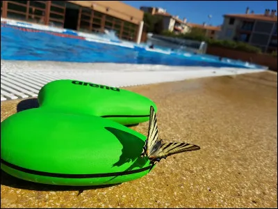 En quelle année a été créé le C.N.S ?