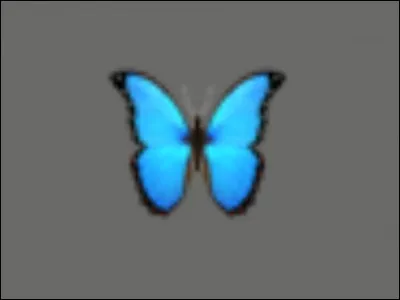 Quel est cet animal ?