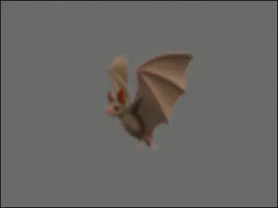 Quel est cet animal ?