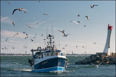 Qui interprétait ''Tous les bateaux, tous les oiseaux'' en 1968 ?