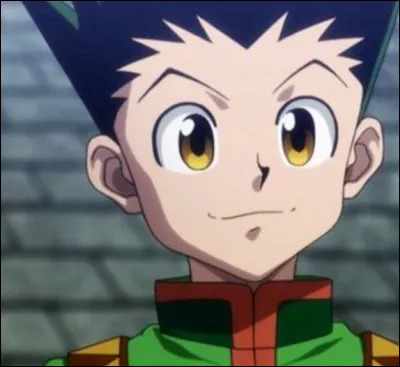 Gon réussit-il à retrouver cette personne ?