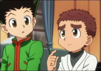 Quel ami se fait Gon à la Tour céleste ?