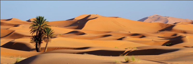 Le Sahara Occidental est revendiqué principalement par...