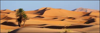 Le Sahara Occidental est revendiqué principalement par...