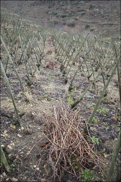 Engagement personnel, c'est le...