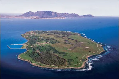 Dans quelle île située au large de la ville du Cap, a été détenu l'ex président sud-africain Nelson Mandela ?