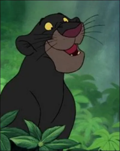 Qu'apprend Bagheera à Mowgli ?
