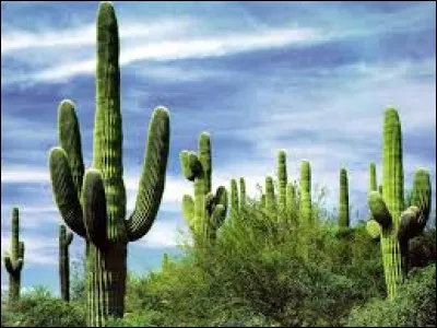 Qui chantait "On nous cache tout, on nous dit rien, plus on apprend, plus on ne sait rien, on nous informe vraiment sur rien. ?