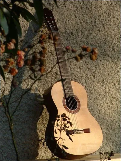 Qui chantait "Savoir aimer, sans rien attendre en retour" ?