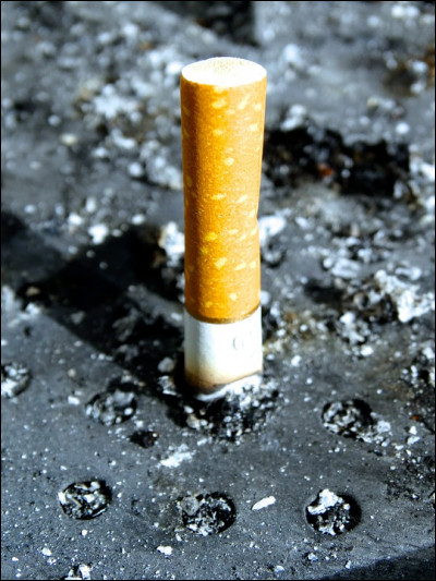 Un mégot (filtre) de cigarette dure :