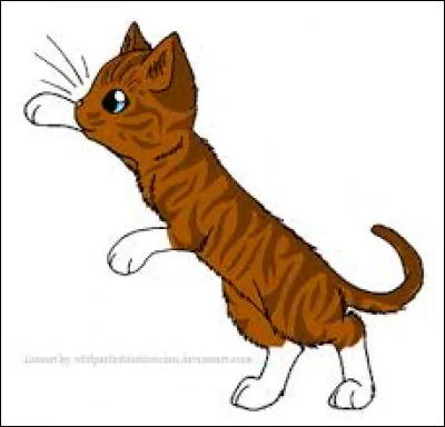 De quelle couleur est le pelage du frère de Nuage de Cerise ?