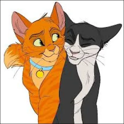 Comment s'appelle l'ami chat domestique d'Étoile de Feu ?