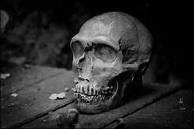 Je t'écris car mes cernes __ que je ne trouve plus en moi les ressources d'être forte pour deux...