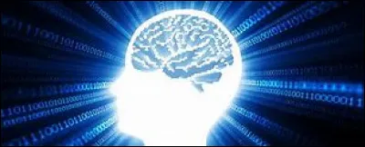 Quelle personnalité te correspond le plus ?