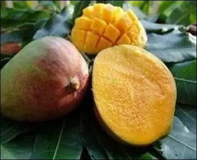 Quel fruit préfères-tu ?