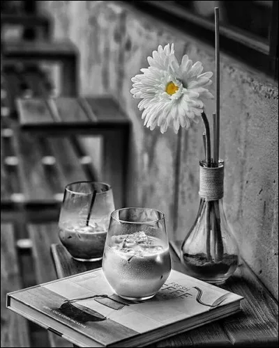 À quoi était la soupe dans le titre du livre de Martine Provis ?