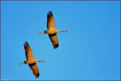 Quel est le nom de cet excellent voilier ?