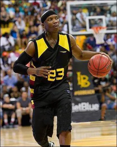 Il porte bien son nom car il brise un nombre inconsidérable de chevilles, il s'agit de :