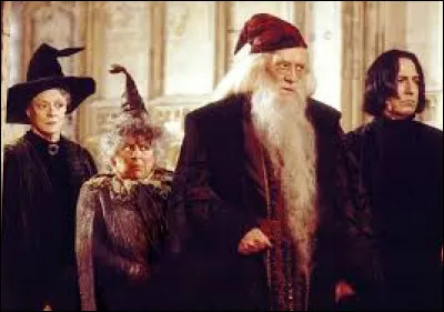 Quels sont les prénoms de Dumbledore, McGonagall,Rogue, Pomfresh et Chourave ?