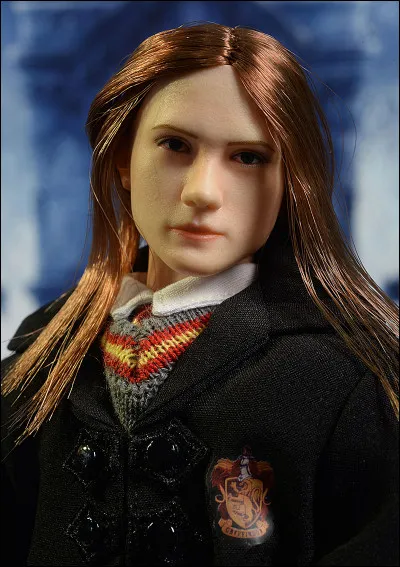 Qui est l'attrapeur quand Harry n'est pas là ?