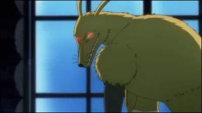 Les ratons-renards aident à quoi ?