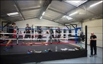 Comment s'appelle la salle de boxe d'Archie ?