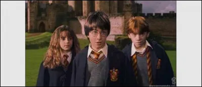 Quand Harry, Ron et Hermione vont voir Hagrid pour obtenir des informations sur l'homme qui lui a donné l'œuf de dragon, après que la cicatrice de Harry lui ait fait mal, que fait le gardien des clés ?