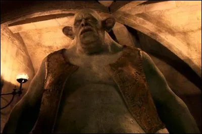 Pendant l'affrontement avec le troll, qu'arrive-t-il à la baguette de Harry ?