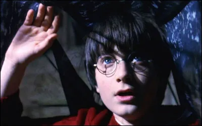 Lequel de ces adultes Harry ne croise-t-il pas lors de son escapade nocture à la réserve de la bibliothèque ?