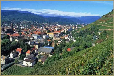 Ville de 11 000 habitants du département du Haut-Rhin, située en bordure des Vosges dans la vallée de la Lauch :