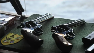 On peut me voir dans "Les Sept mercenaires" et "Guet-Apens". Je suis donc :